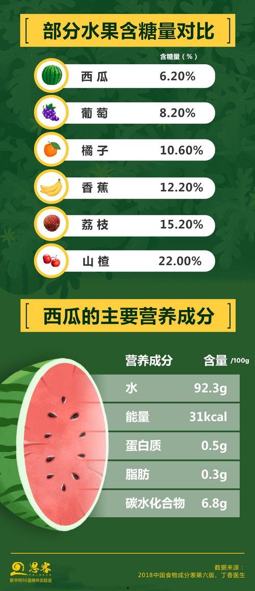 吃瓜网推广码是什么,轻松解锁海量瓜子的秘密通道