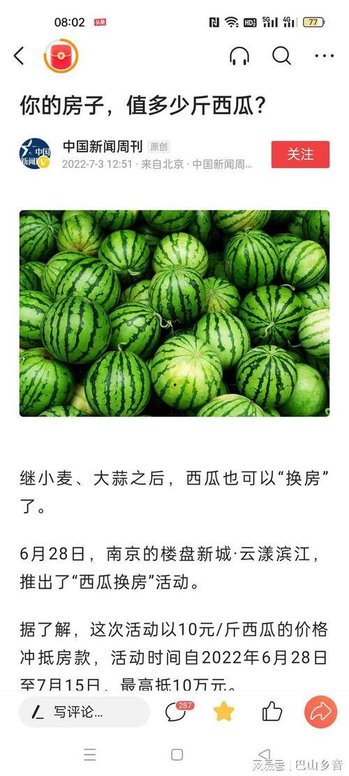 吃瓜网在线吃瓜免费观看网站,在线吃瓜新体验