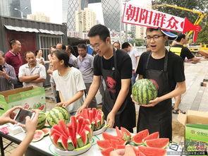 朝阳群众吃瓜网在线观看,揭秘热门事件，在线观看一网打尽