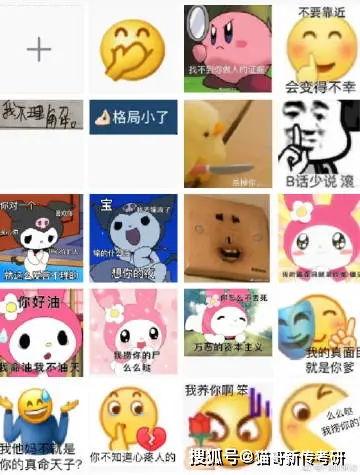 网传狗子吃瓜视频大全,狗子吃瓜视频大全来袭！