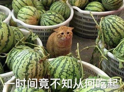 200w粉丝的网红吃瓜,独家爆料引热议