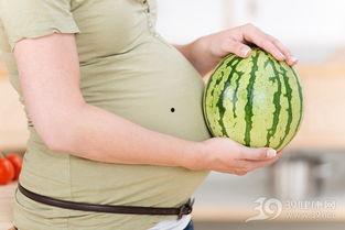 孕妇可以吃网瓜