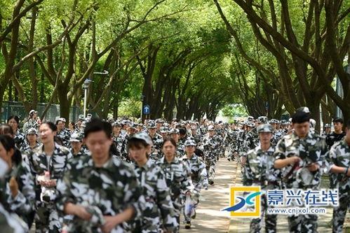 军训合集吃瓜网,揭秘吃瓜网上的军营生活点滴