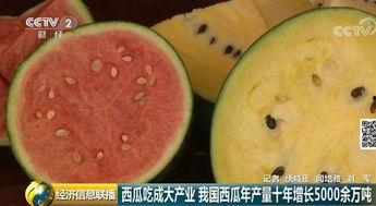 全球吃瓜网,揭秘娱乐圈幕后故事，带你领略娱乐风云变幻